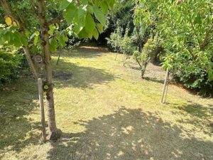 Gebäudereinigung Deymann - Gartenpflege nachher