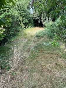 Gebäudereinigung Deymann - Gartenpflege vorher